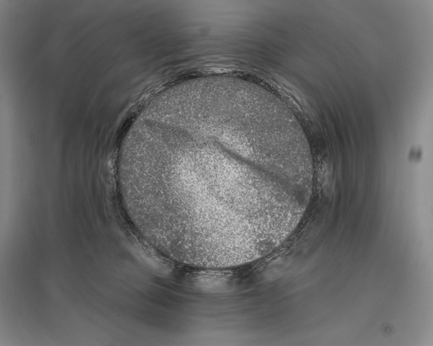 X0000096450373200802211239