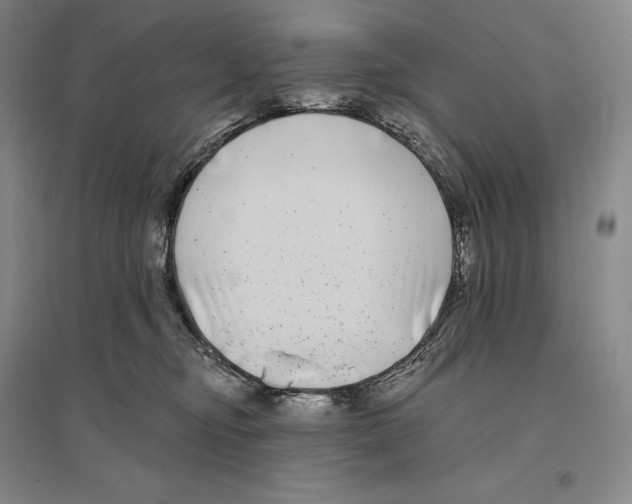 X0000096450374200802211239