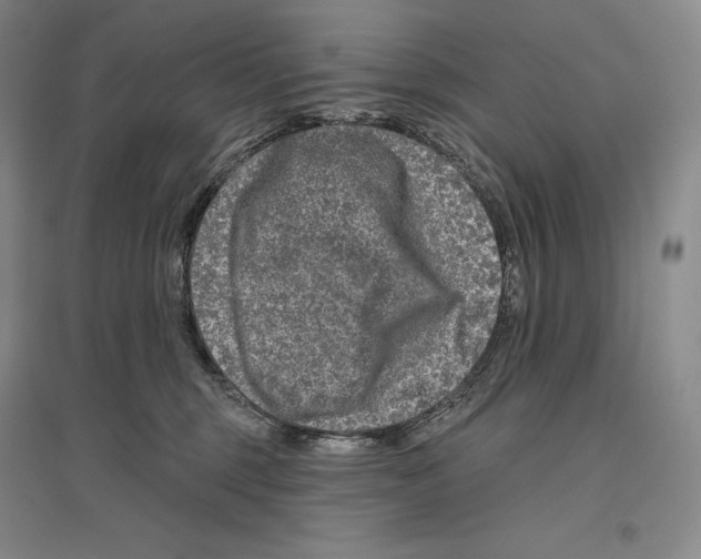 X0000096450375200802211239