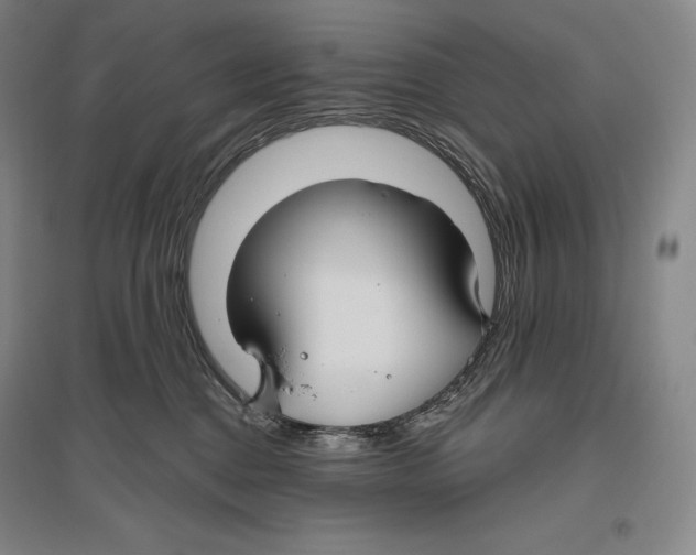 X0000096450376200802211239