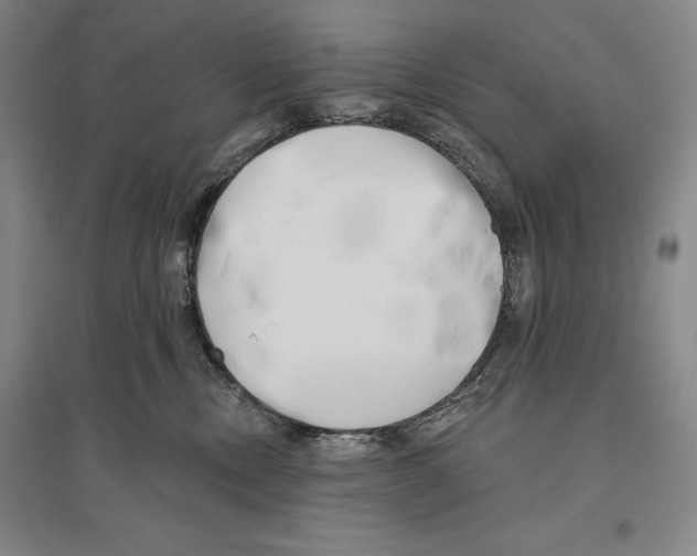 X0000096450378200802211239