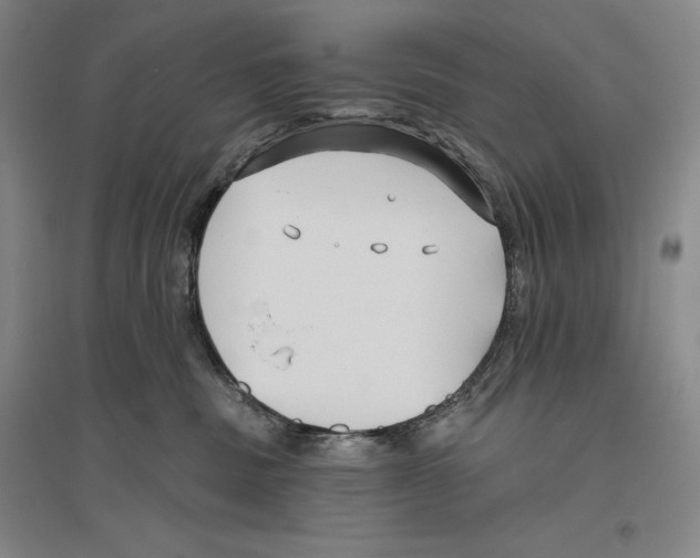 X0000096450379200802211240