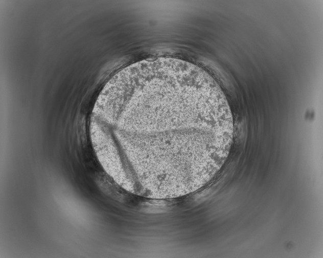 X0000096450381200802211240