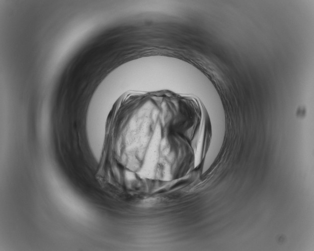 X0000096450382200802211240