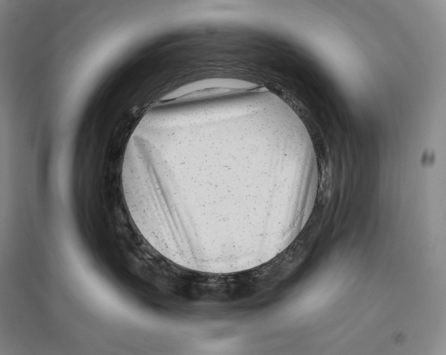 X0000096450383200802211240