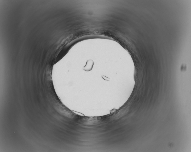 X0000096450384200802211240