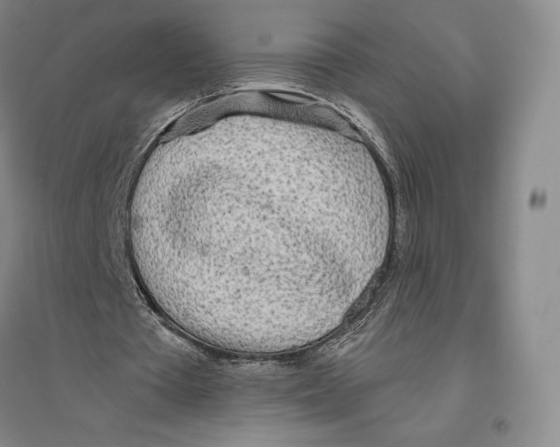 X0000096450385200802211239