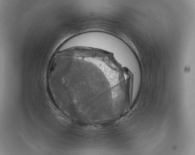 X0000096450386200802211239