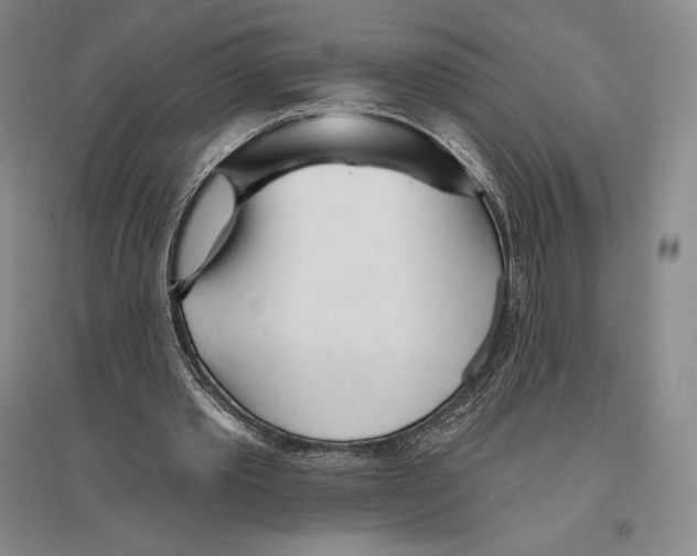 X0000096450389200802211239