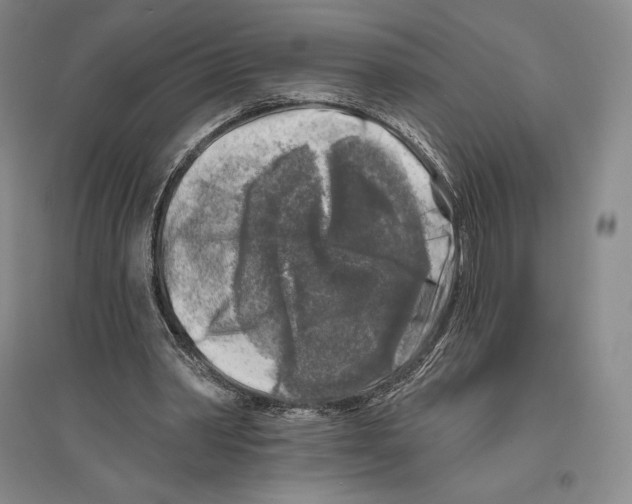 X0000096450390200802211239