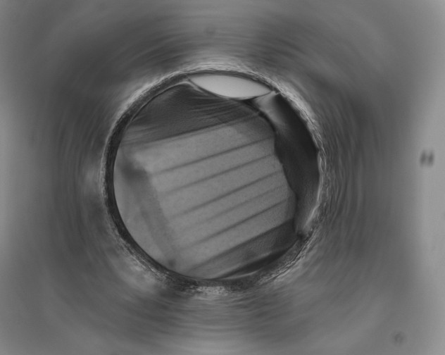 X0000096450391200802211239