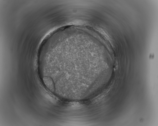 X0000096450392200802211239