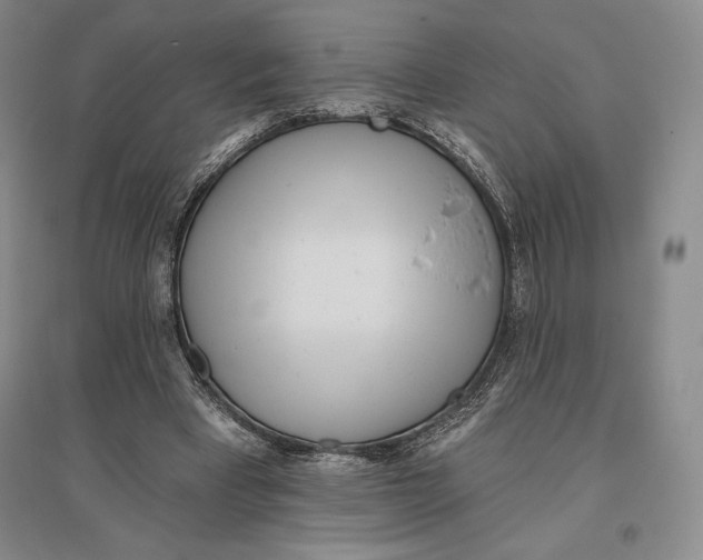 X0000096450393200802211239