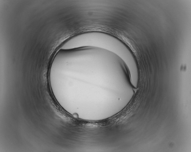 X0000096450394200802211239