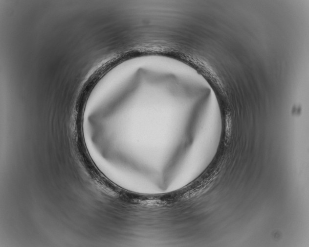 X0000096450396200802211239