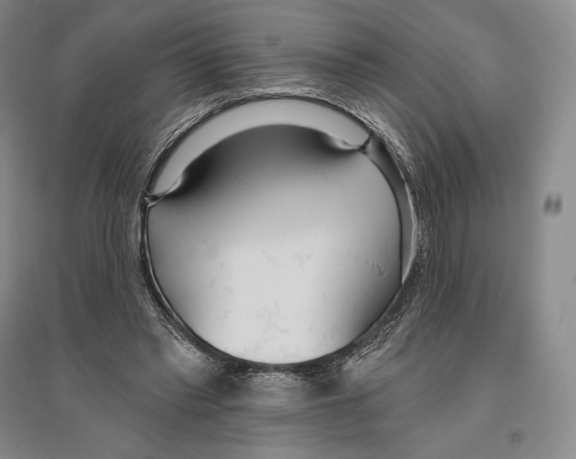 X0000096450397200802211239