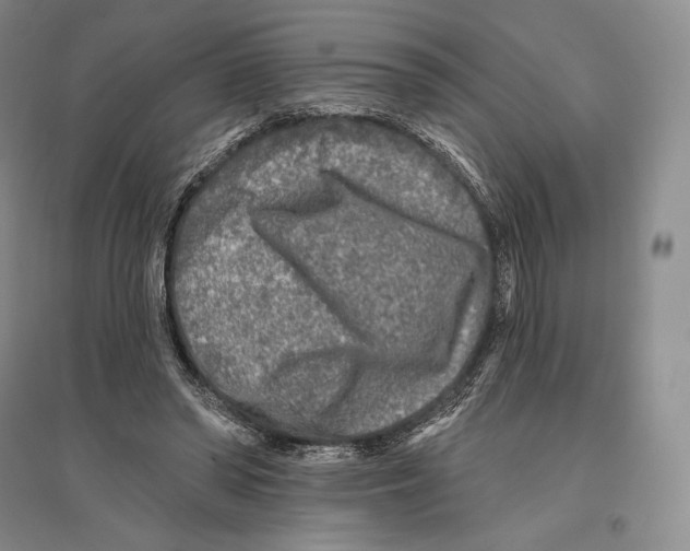 X0000096450398200802211239