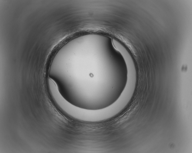 X0000096450399200802211239