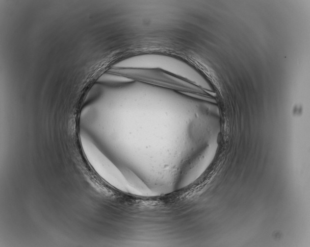 X0000096450401200802211239