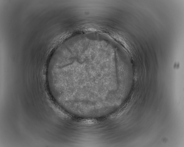 X0000096450402200802211239