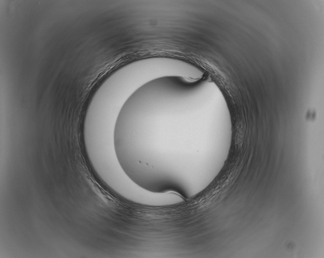 X0000096450405200802211239