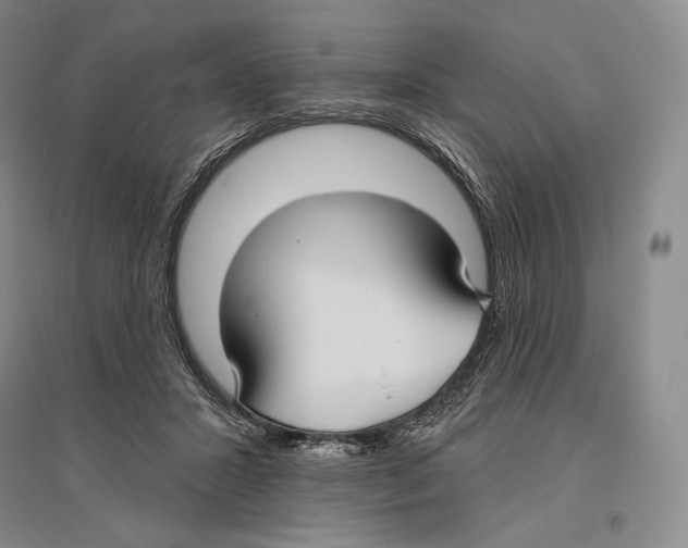 X0000096450407200802211239