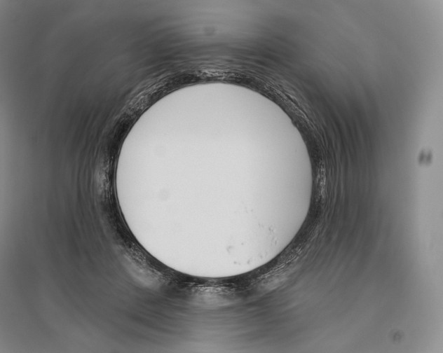 X0000096450408200802211239