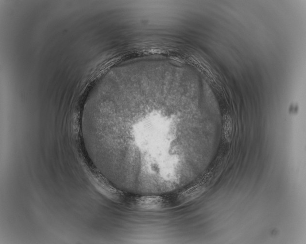 X0000096450410200802211238