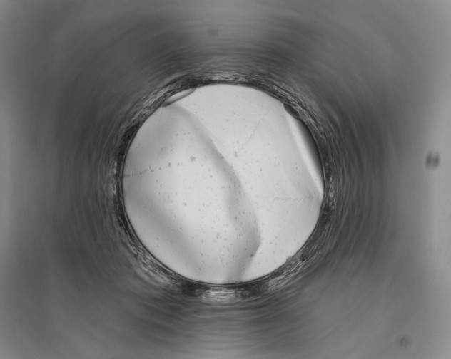 X0000096450413200802211238