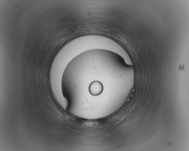 X0000096450415200802211238