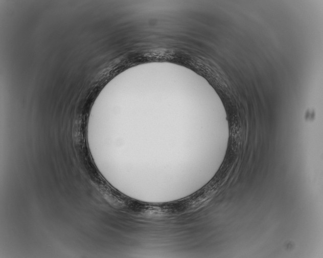 X0000096450416200802211238