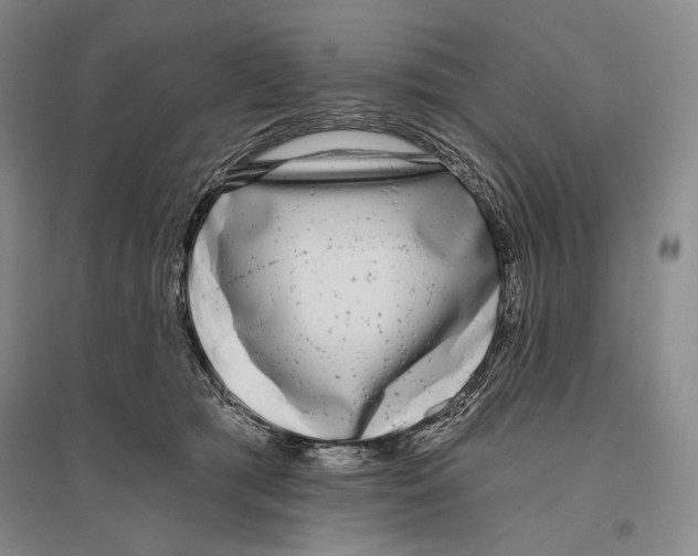 X0000096450417200802211238