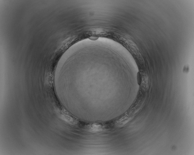 X0000096450419200802211238