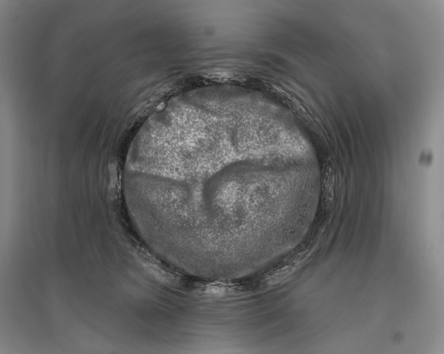 X0000096450420200802211238