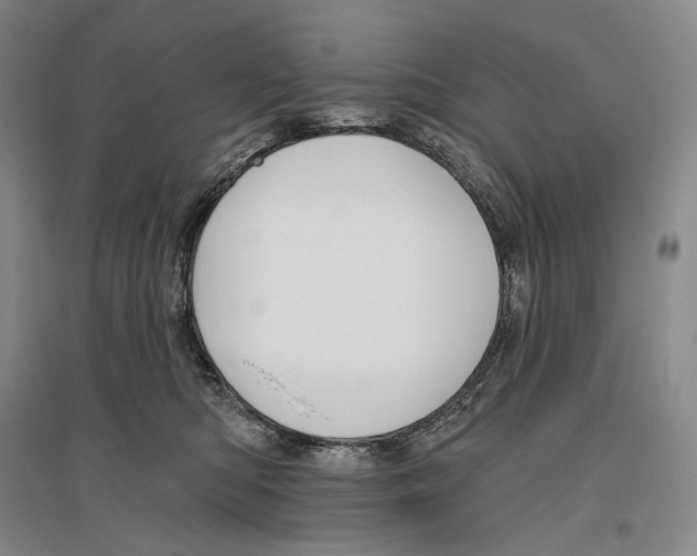 X0000096450422200802211238