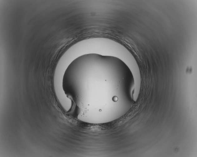 X0000096450423200802211238