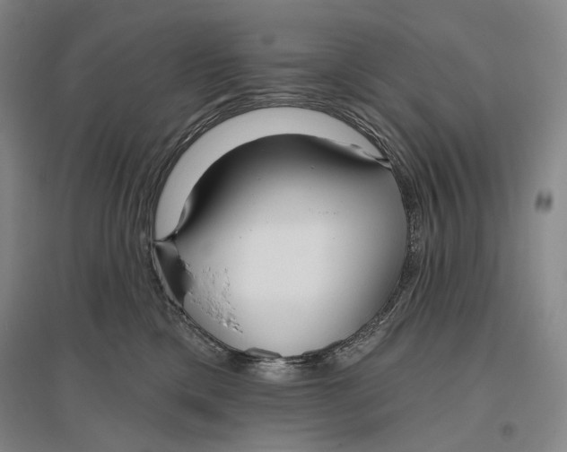 X0000096450425200802211238