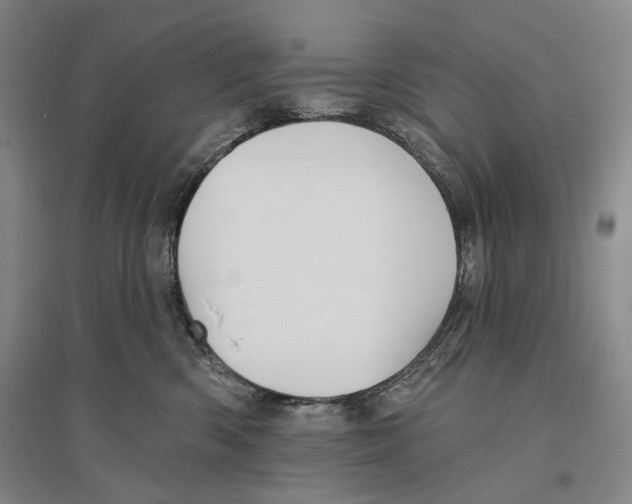 X0000096450426200802211238