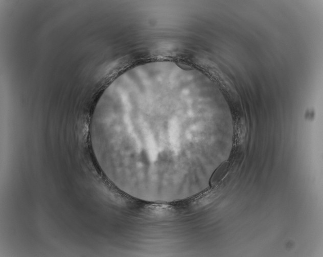 X0000096450427200802211238