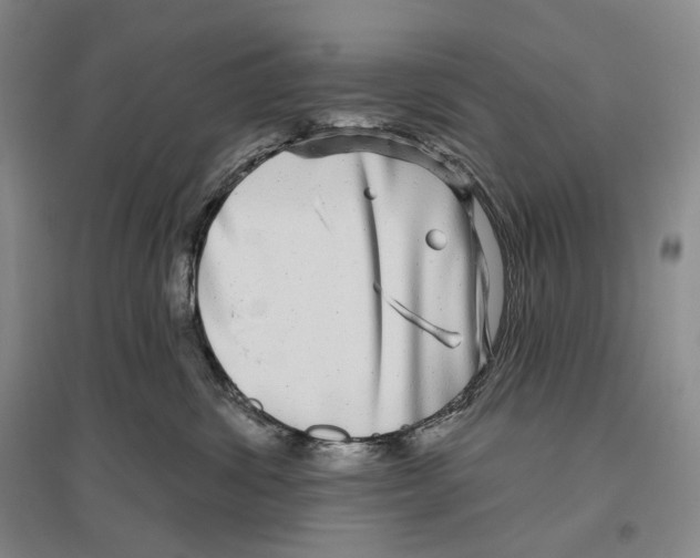 X0000096450428200802211238