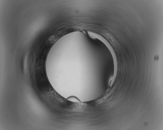 X0000096450429200802211238