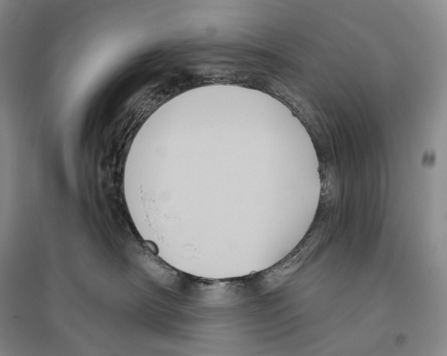 X0000096450430200802211238