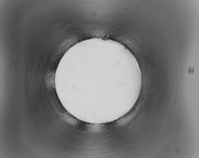 X0000096450432200802211238