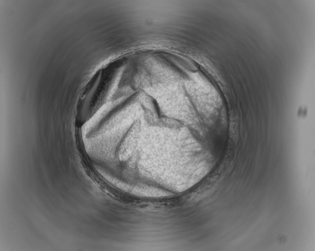 X0000096450434200802211237