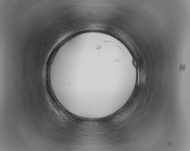 X0000096450435200802211238