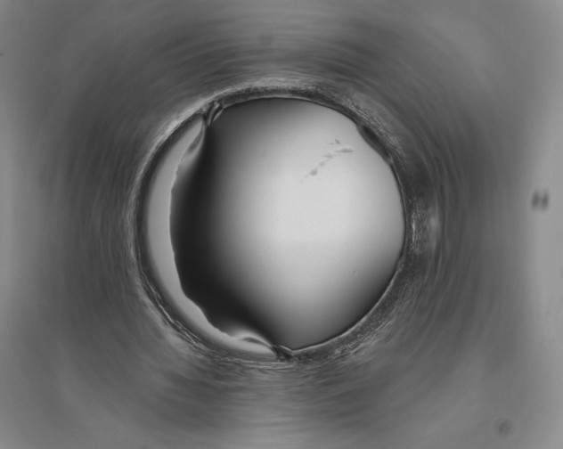 X0000096450436200802211238