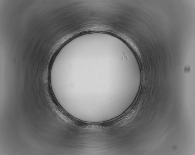 X0000096450437200802211238