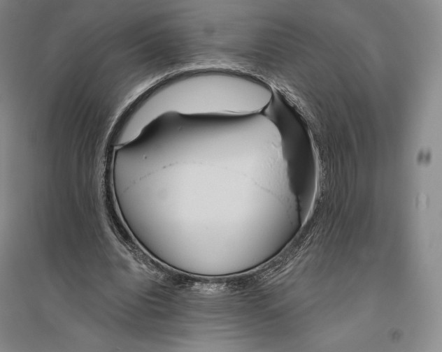 X0000096450440200802211238