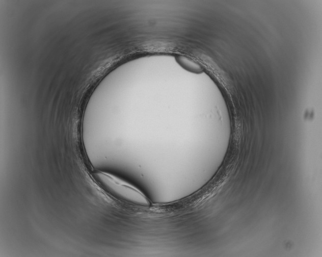 X0000096450441200802211238