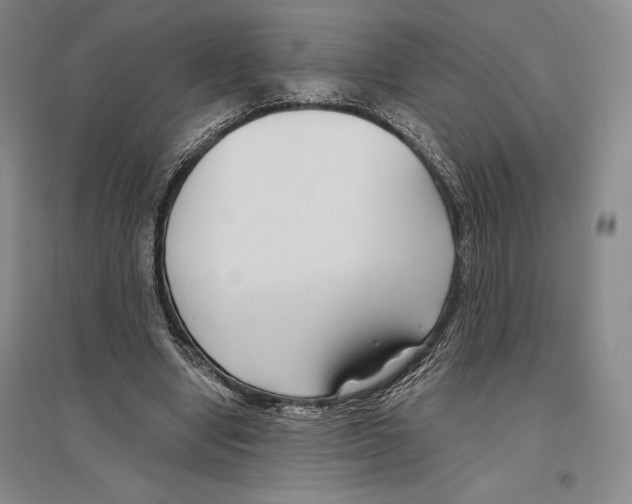 X0000096450442200802211238